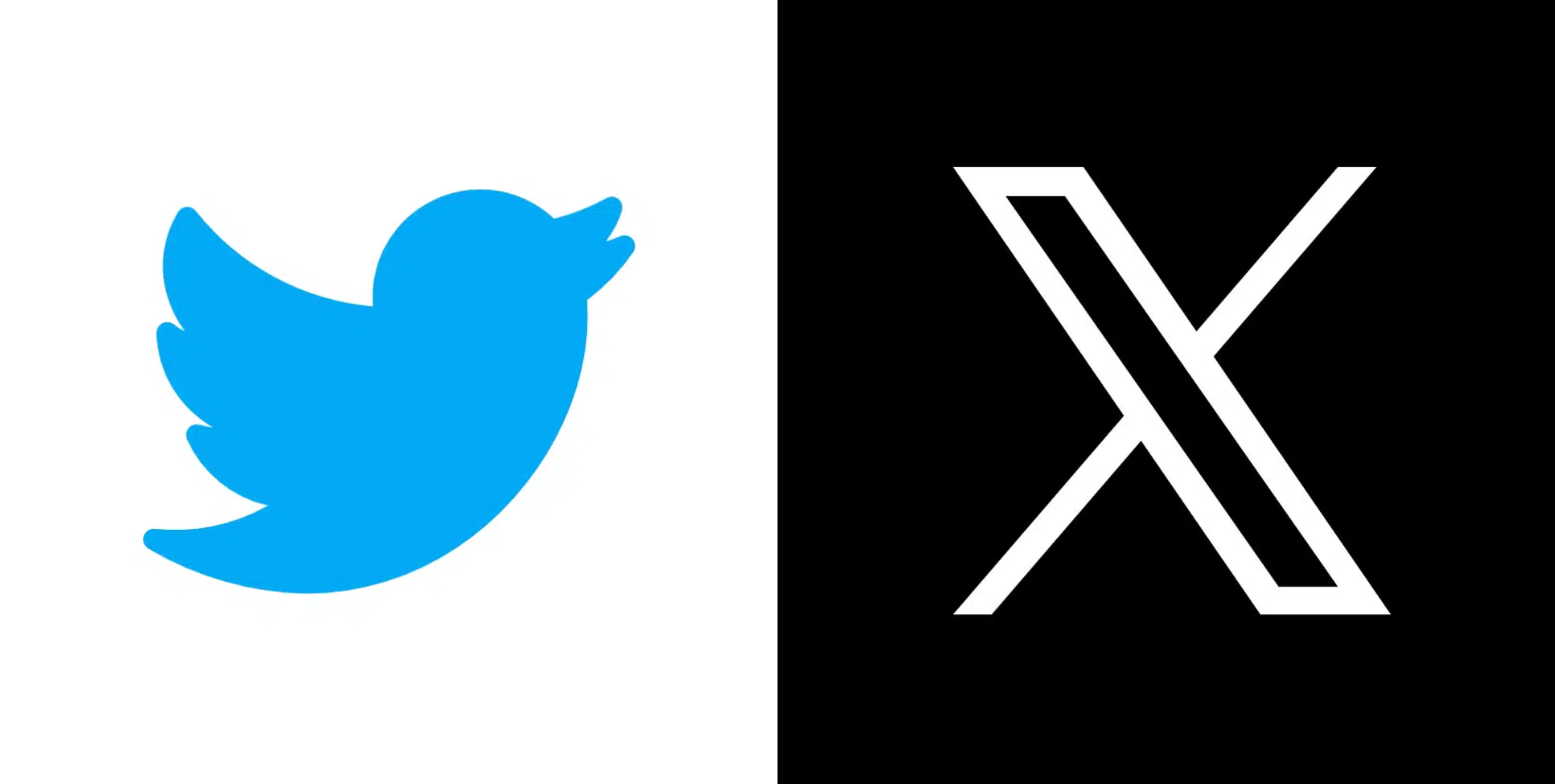 Rebranding Twitter