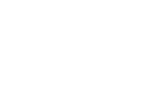 proyecto no mas vello